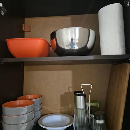 делукс апарт вергиеви 公寓